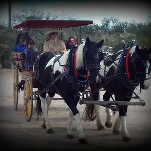 Event at church function with the good shepherd ranch surrey