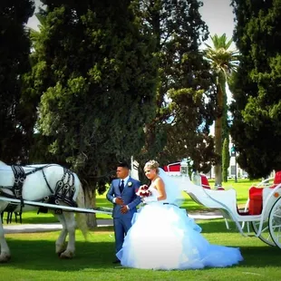 Wedding with the Good Shepherd Ranch french carriage