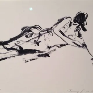 Sharon Z.