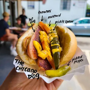 The Chicago Dog