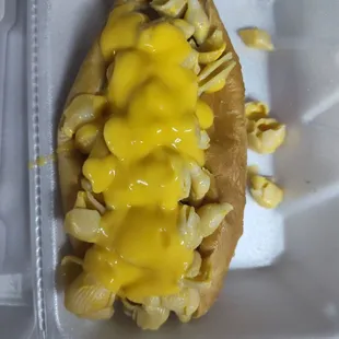 food, sandwich, hot dog, hot dogs