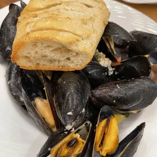 Angry mussels