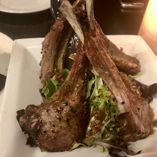 Lamb chops appetizer