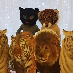 Black Leopard, Tiger Heads or Lion masks were just a few of the props