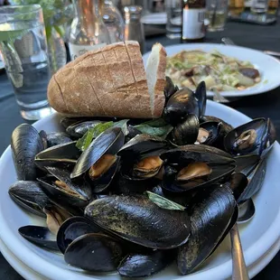 Mussels