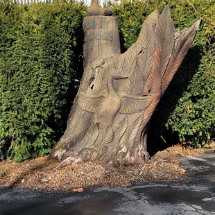 I see where the name comes from!