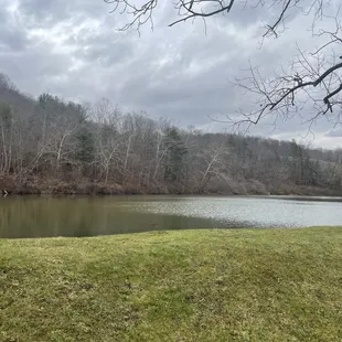 The great goose lake