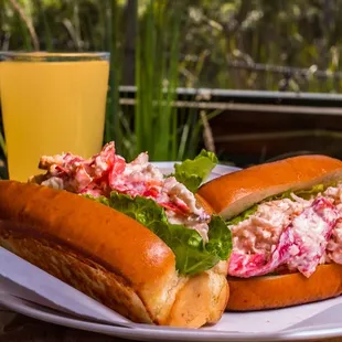 food, hot dogs, hot dog, sandwich