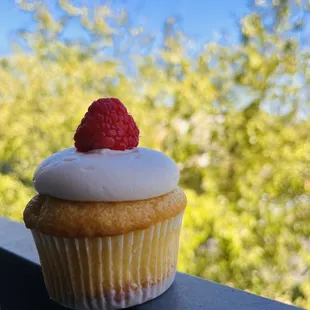 Raspberry cheesecake cupcakes