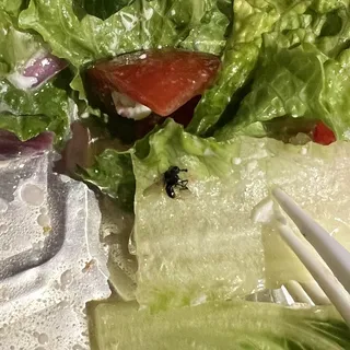 LARGE CLASSIC GREEK SALAD