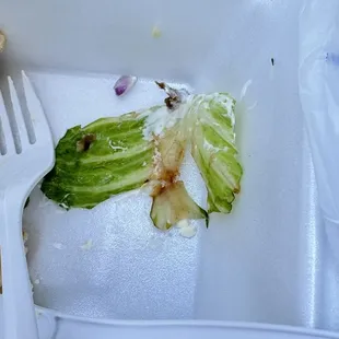 wraps, burritos and wraps, burrito, food