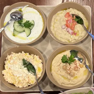 Dip sampler