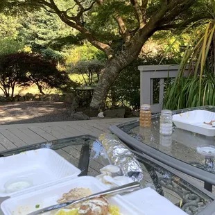 Enjoying our takeout Chicken Kebab Plates at home as a Red Squirrel sits in the tree eating a nut and watching my mom and I.