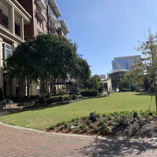 The park, surrounded by buildings