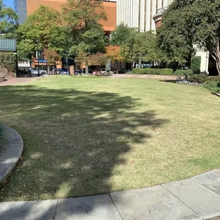 The &quot;greens&quot;