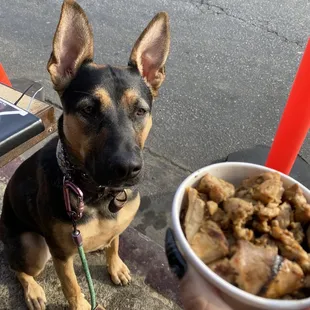 Grilled chicken on the side