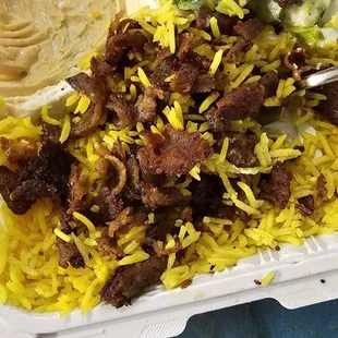 Gyro plate