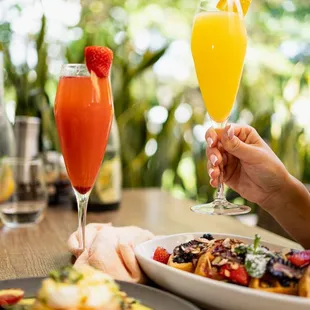 Mimosa