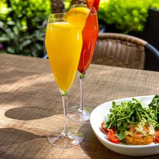 Mimosa