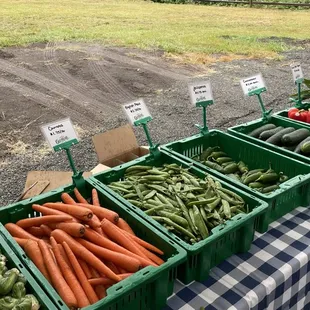 a variety of vegetables