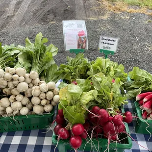 radishes, turnips, and radishes
