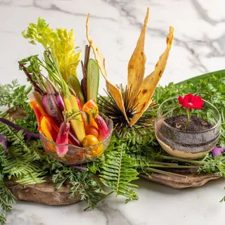 THE -TERRARIUM-