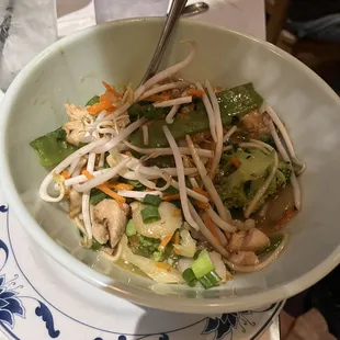 Chicken with Noodles