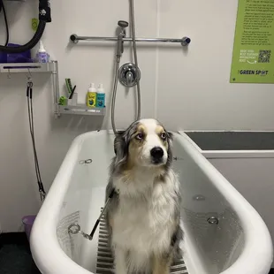 Spot wash