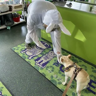 The Green Spot