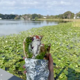 Gyro