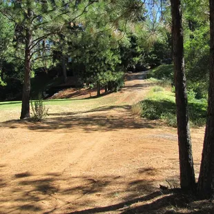 Walking back up to the Inn from the pond.