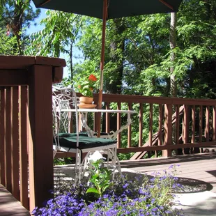 Deck outside the Toad Abode