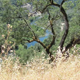 The beautiful American River