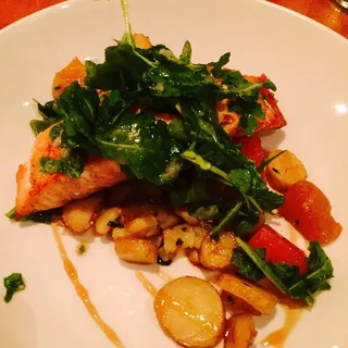 Atlantic Salmon*
