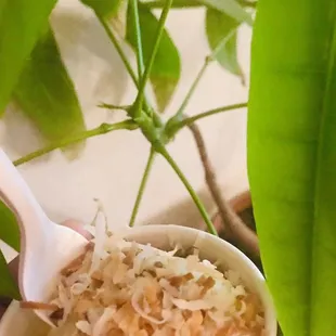 Vietnamese Egg coffee with toasted coconut topping