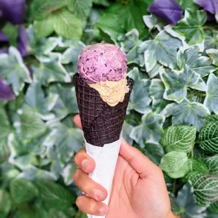 Blueberry lavender, mocha amaretto on charcoal cone