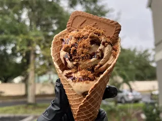 Vegan Scoops