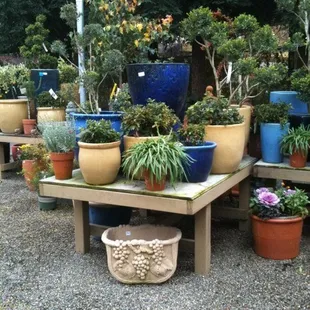 great pottery selection, unique and will not find around the area their selection