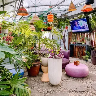 salads, interior