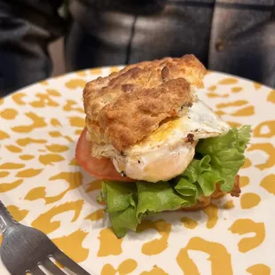 Sammy Biscuit