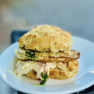 Savory Biscuit Special