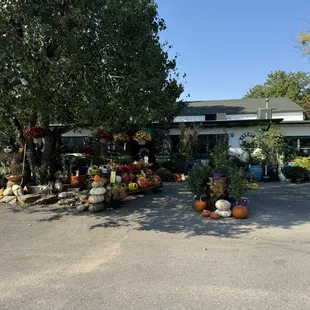 The Greenhouse in Norman