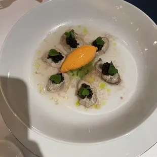 Oysters