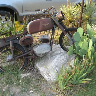 Looks like someone left their bike in the Hog Pen too long.