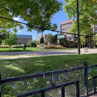 Nice view from the patio.