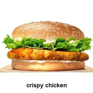 Chicken Burger