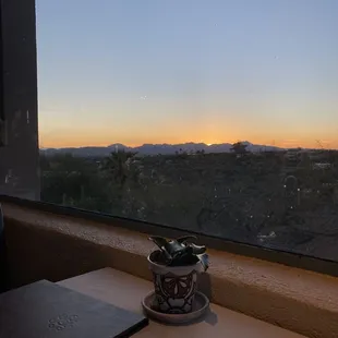 Dinner view