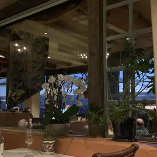 The ambiance is wonderful at the Grill