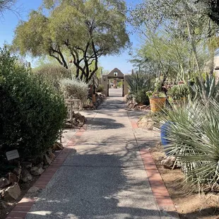 Looking back at the entrance
