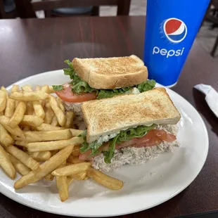 Delicious tuna salad on hearty white toast with fresh crispy fries. Exceptional -- ingredients, preparation and presentation.